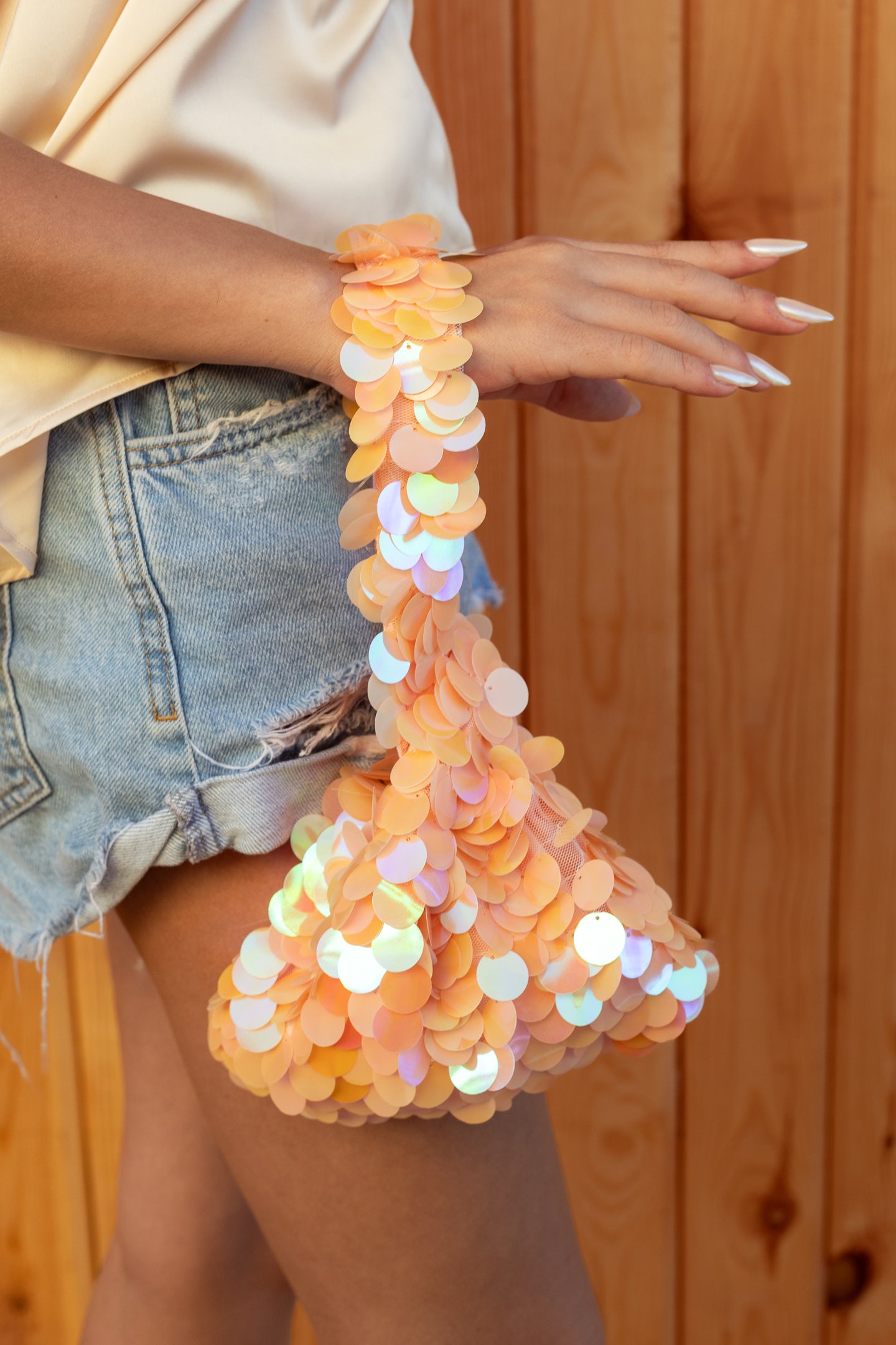 Sequins Mini Bag